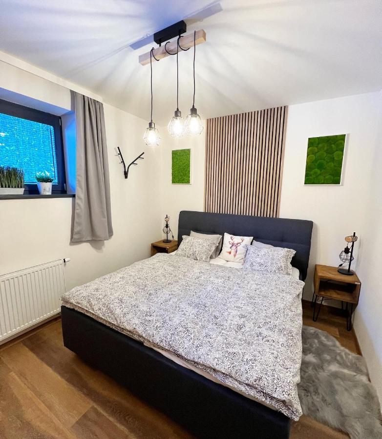 U Jelena Harrachov - Rodinny Apartman U Lesa S Garazi Eksteriør bilde