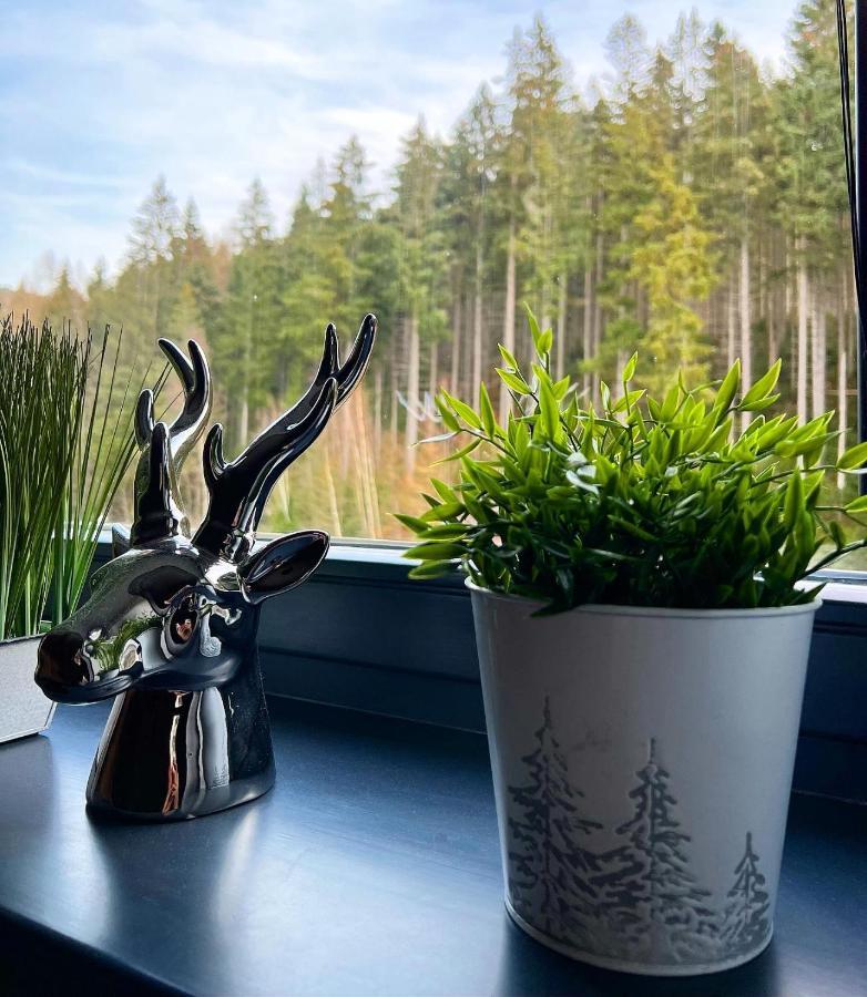 U Jelena Harrachov - Rodinny Apartman U Lesa S Garazi Eksteriør bilde